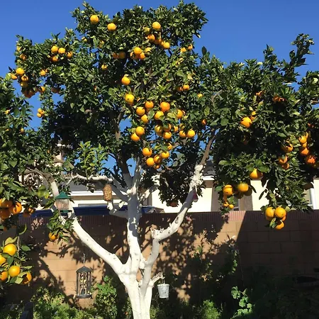 아파트 With Parking Space - 12721 *