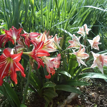 公寓 With Parking Space - 12721 *