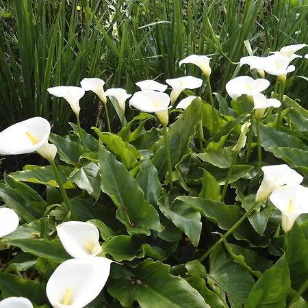 아파트 With Parking Space - 12721