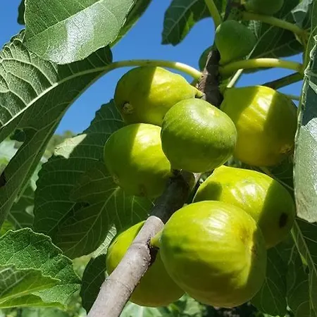 With Parking Space - 12721 *