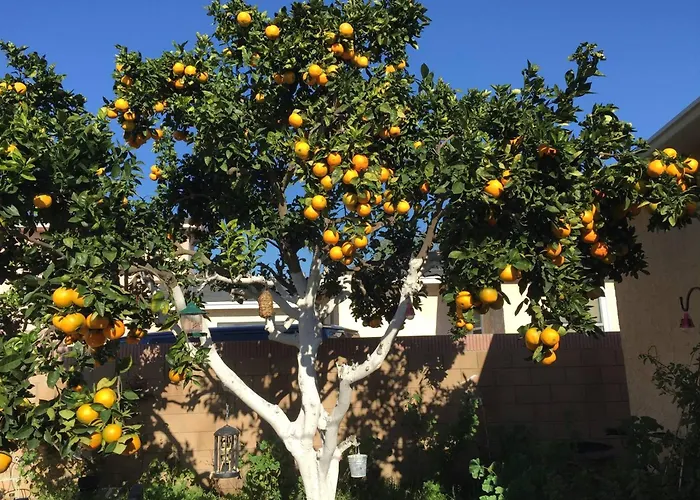 Apartman With Parking Space - 12721 *