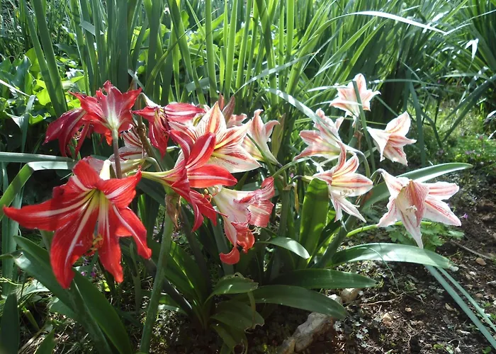 Apartman With Parking Space - 12721 *