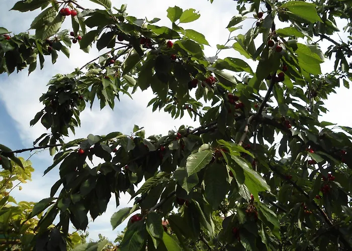 Apartman With Parking Space - 12721 *